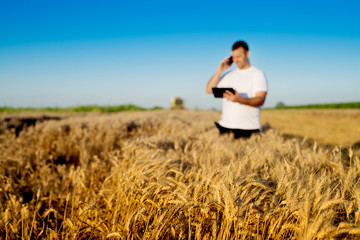 Naklejka na ściany i meble Farmer at wheat field checking online internet progress.