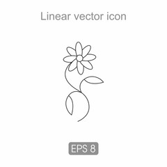 Contour icon of a flower