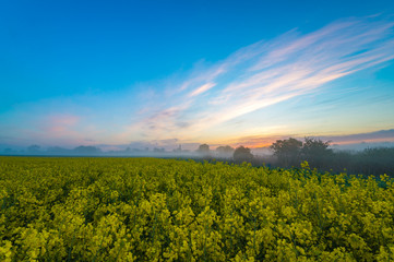 Foggy morning in the field near the village