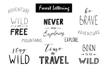 Hand drawn vector wild design elements. Forest silhouettes.