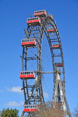 Fototapeta na wymiar Wiener Riesenrad vor blauem Himmel