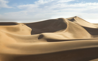 Fototapeta na wymiar dunes in a desert in Abu Dhabi