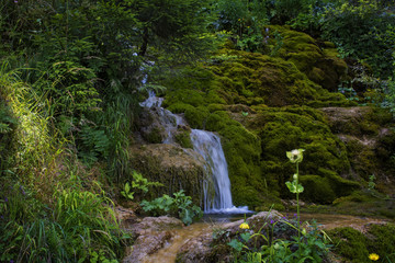 Waterfall on mountain river in Carpathian Mountains , Romania