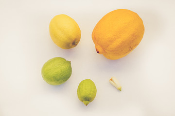 development of lemon, vintage filter