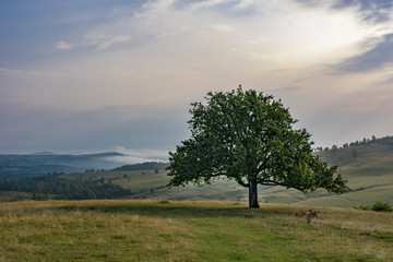 Sunrise over Hateg County ,Carpathian Mountains, Romania