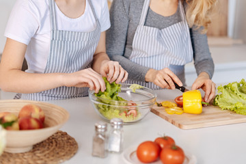 Pleasant involved mother and daughter cooking vegetable salad
