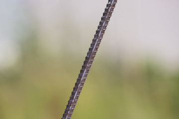 Rusty  iron bar isolated on soft background