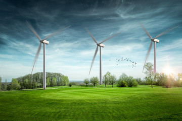 Eolienne énergie renouvelable - obrazy, fototapety, plakaty