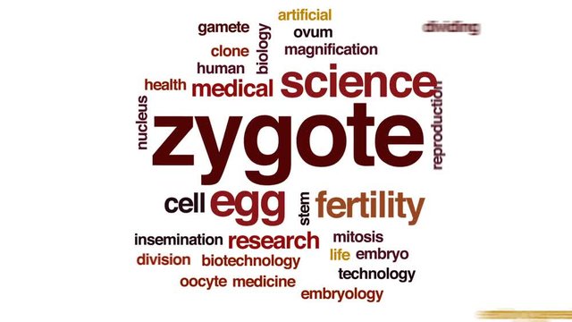 Zygote animated word cloud, text design animation.