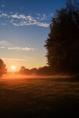 Fototapeta na wymiar Early morning sunrise over park in urban environment