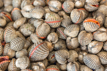 fresh cockles for sale at a market