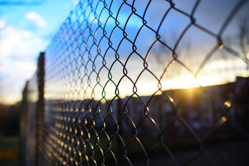 fence with metal grid in perspective