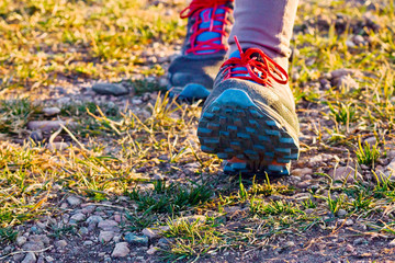  Cross-country trail running people at sunset. Runner couple exercising outside as part of healthy lifestyle.