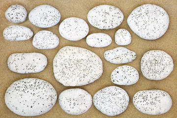 White Pebble Beach Abstract. With white stones with bore holes made by bivalved molluscs