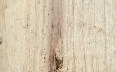Fototapeta premium Split wood texture