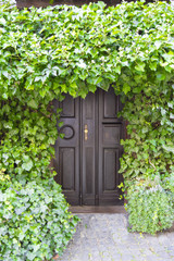 Picturesque door of ivy grown. Herrstein City Germany