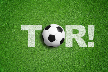 TOR! / Fußball / Sport