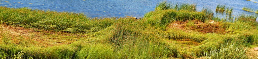 Panoramic view of grassy riverside
