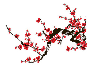 Realistic sakura blossom - Japanese cherry tree isolated on white background. 