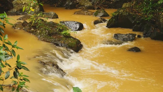 A small river from the Datanla falls in the jungle. Yellow water.