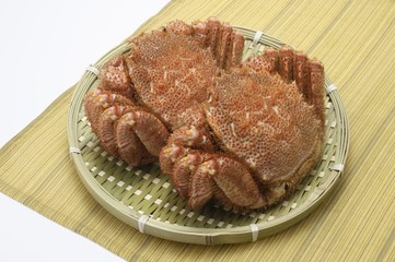 けがに