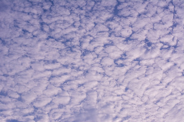 The clouds endways billow light sun, the morning