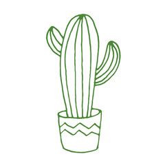 Vector cactus illustration, hand drawn sketch with cactus in flowerpot. Mexican style design with desert succulent
