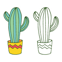 Vector cactus illustration, hand drawn sketch set with cactuses in flowerpot. Mexican style design with desert succulent, colored and outline