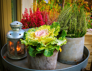 Autumn themed flowers and candle lamp on table in garden