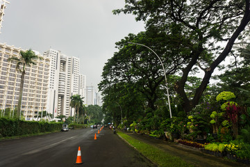 Beautiful green landscape with big trees in the middle of city and clear sky as background photo taken in Jakarta Indonesia