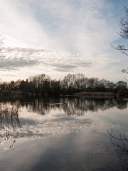 Sunsetting Over a Lake with Reeds and Ducks