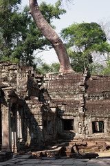 Naklejka premium Angkor Wat Temple