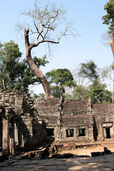 Angkor Wat Temple