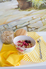 healthy breakfast with natural yogurt, muesli and berries in plate in flower on white tray