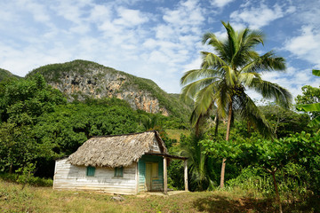 Fototapeta na wymiar Cuba, Valle de Vinales