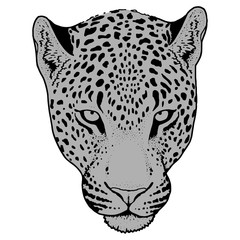 Leopard face tattoo ,Vector illustration, print