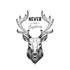 Hand drawn vector wild forest illustration