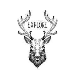 Hand drawn vector wild forest illustration