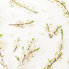 Spring time background. Frame of flowers on white background. Flat lay, top view.