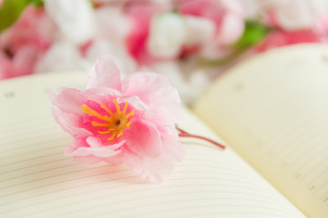 Flower on open blank note book against flower background