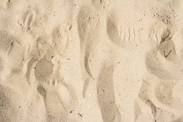sand background texture