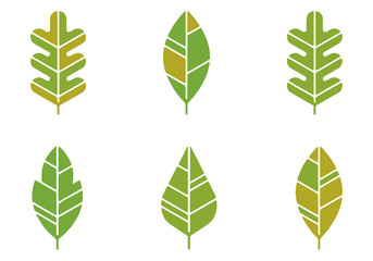 Leaf vector. Draw of spring leaves.