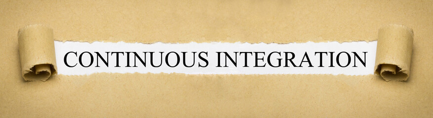 Continuous Integration