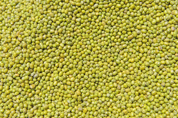 Many green beans together
