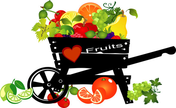 fruits basket