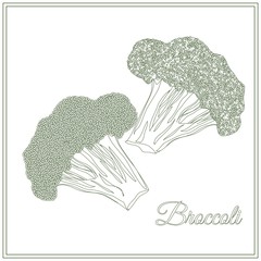 Broccoli. Page for coloring book. Doodle, zentangle design.Vegetables. Vector illustration.