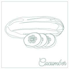 Cucumber. Page for coloring book. Doodle, zentangle design.Vegetables. Vector illustration.