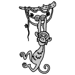 Cute baby monkey hanging on tree