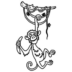 Cute baby monkey hanging on tree