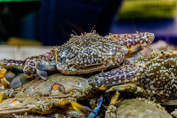 Fresh sea crabs are sold in local markets in Thailand.